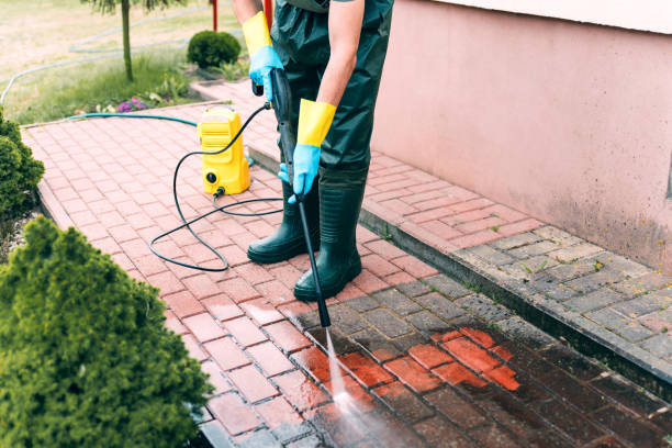 Best Driveway Pressure Washing  in Eyota, MN