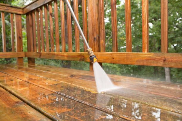 Animal Enclosure Cleaning in Eyota, MN